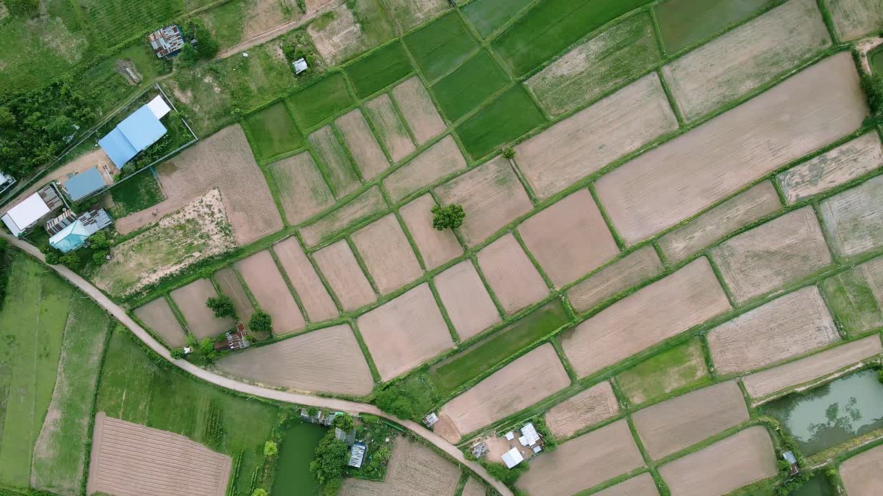 alta vista aérea del paisaje de los campos de arroz verde naturaleza y pueblo