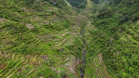 imágenes de drones de un valle verde y terrazas de arroz del norte de filipinas