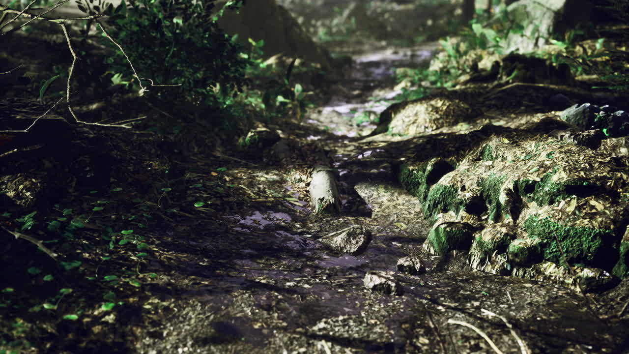 Serene forest stream with lush greenery and gentle water flow in nature