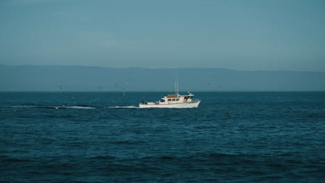 A-small-fishing-boat-in-the-sea-at-Monterey,-California-with-seagulls-and-waves