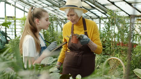 grandmother and granddaughter inspecting plants in a greenhouse
