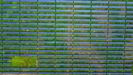 vista de arriba hacia abajo de filas de paneles en un campo solar en el campo