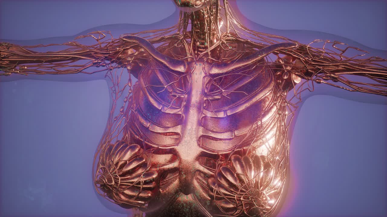 유방암 진단을 위한 매모그램 방사선 영상