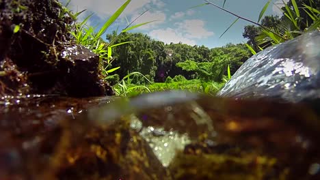 Agua-Pura,-Fresca-Y-Limpia-Se-Vierte-Por-Un-Arroyo