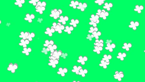 flat style cartoon dropped down flower animation on green screen 4k