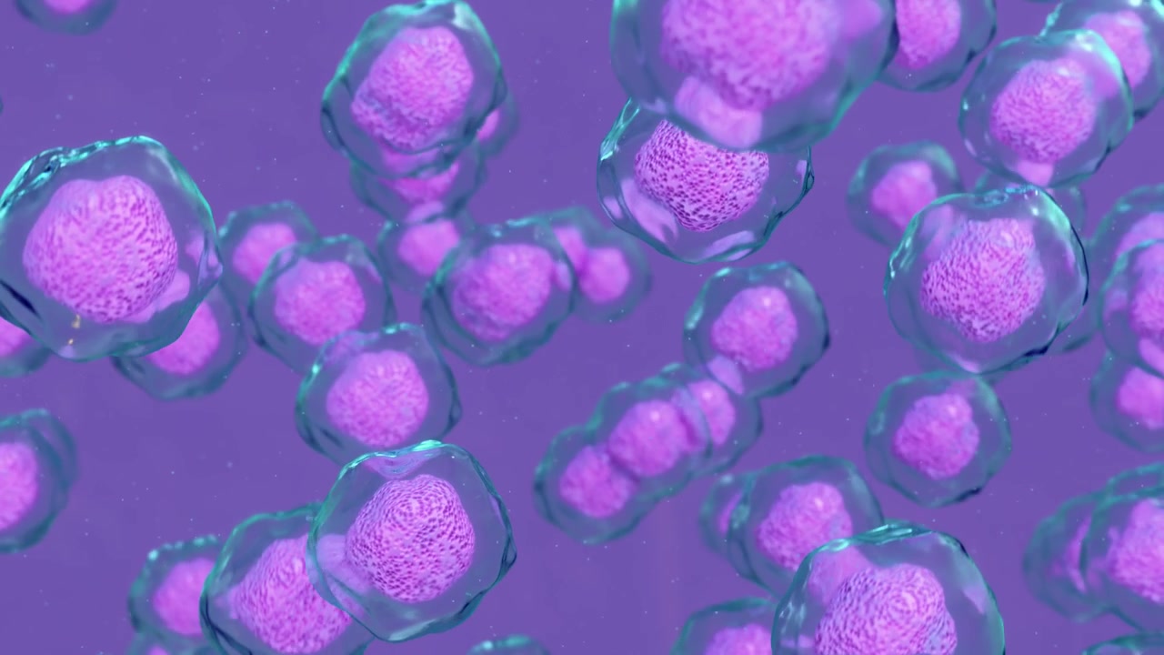 Rendering 3D di cellule biologiche microscopiche con nuclei