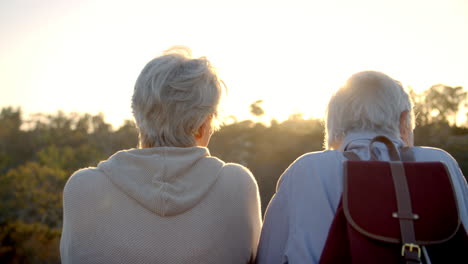 achterste uitzicht van een oudere echtpaar op een wandeling die naar de zonsondergang kijkt