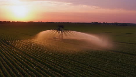 center pivot irrigation system watering a crop field at sunset