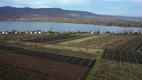 Lake-arial-view-in-autumn.-Cloudy-day