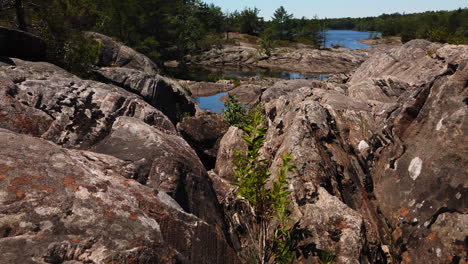 a wide tilt up from crevices and lichen covered rocks on moon bay falls, with river in the distance