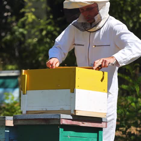 apiarist collecting pollen from beehive