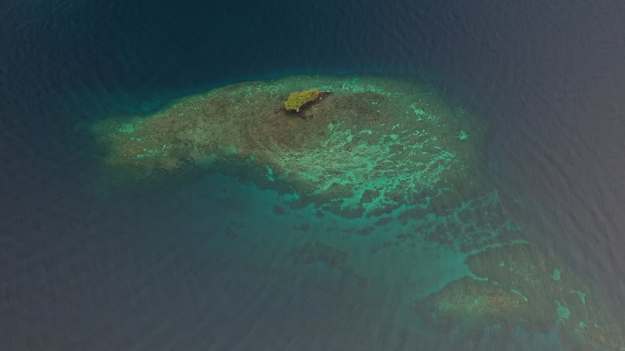 무성한 녹색 정글로 가득한 작은 섬 위로 공중 촬영