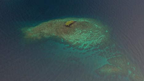 Luftaufnahme-über-Einer-Kleinen-Insel-Voller-üppigem,-Grünem-Dschungel