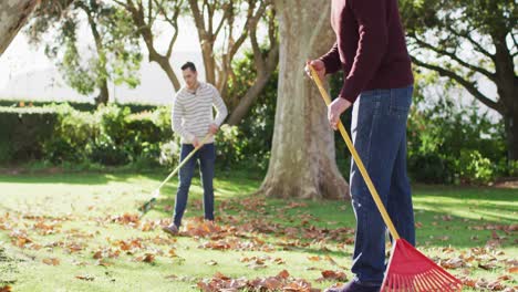 video of happy caucasian senior father and adult son raking up autumn leaves in garden