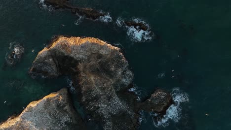 drone shot of a rocky seabird habitat at golden hour in california