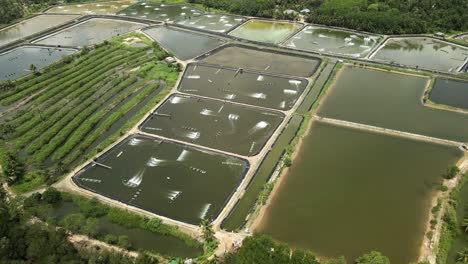 在泰國的工業<unk>養殖場的空中無人機