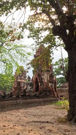 a peaceful stroll past historical temple ruins