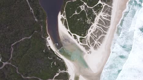 wildlife in torbay inlet, a secret spot located in the south of western australia