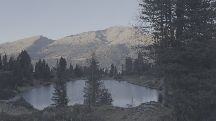Mountain Lake in the Alps