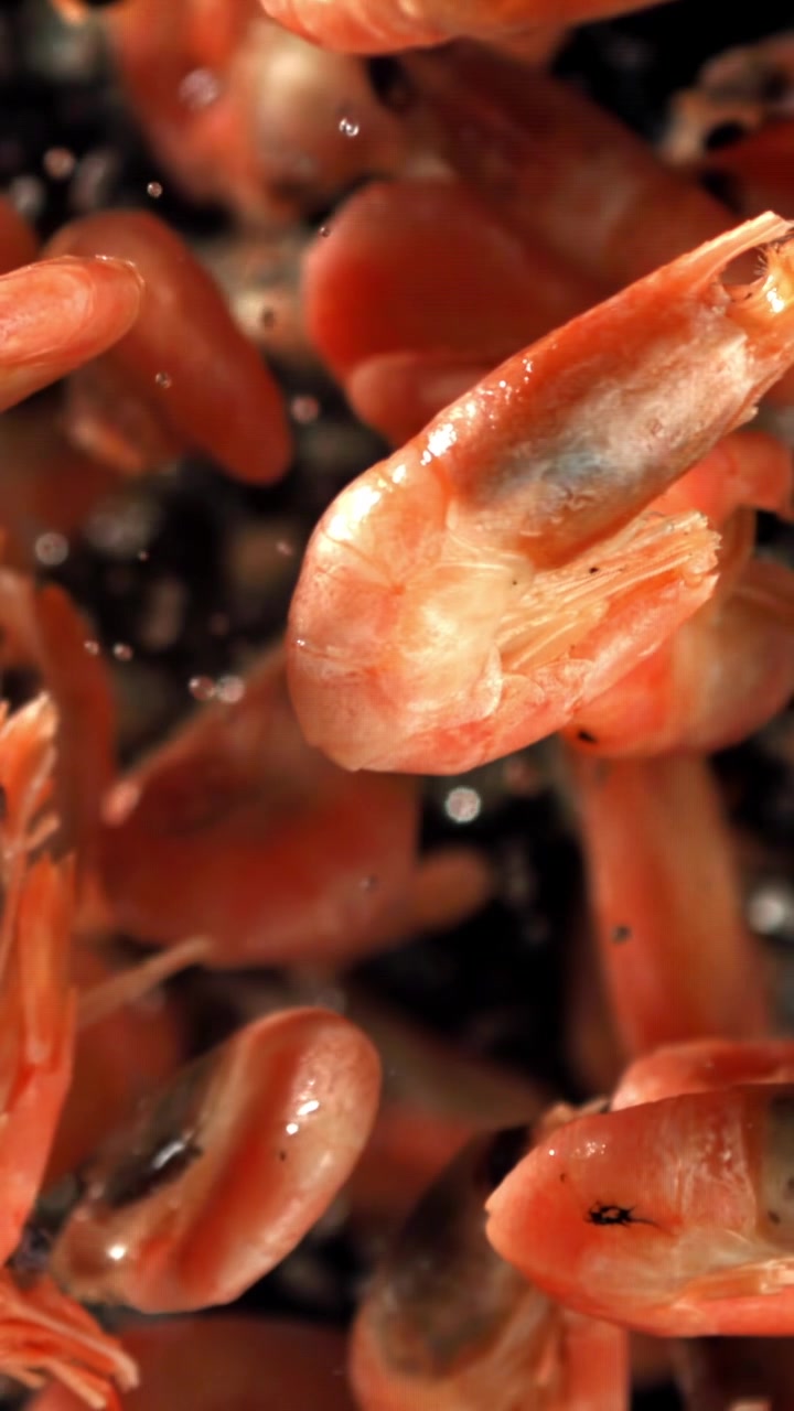 Macro Shot of Cooked Shrimp with Bubbles on Dark Background