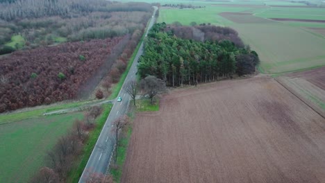 Eine-Kleine,-Von-Bäumen-Umgebene-Straße-Deutschland---2018