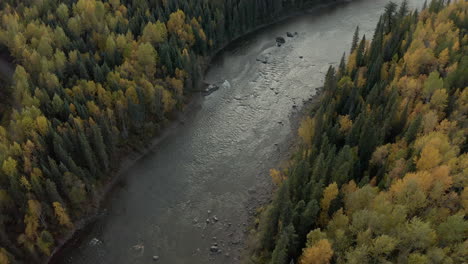 Río-Bowron-Que-Fluye-A-Través-Del-Bosque-Amarillo-Y-Verde-En-Colombia-Británica,-Aéreo