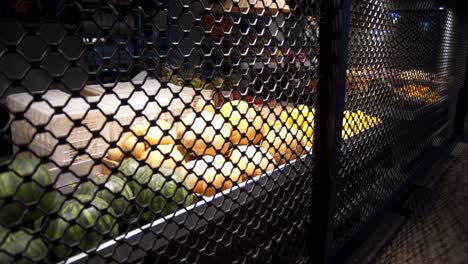 Wide-pan-view-of-fresh-organic-vegetables-and-fruits-in-shelves,-behind-locking-roll-in-a-shop