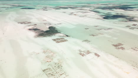 aerial view of seaweed cultivation patches in tropical water