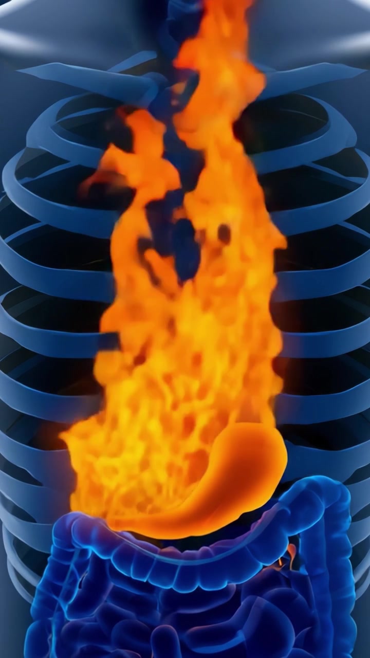 Ilustração Anatômica do Sistema Digestório com Chamas Emanando do Estômago, Representando um Conceito Metafórico de Fogo Digestivo e Energia Dentro do Corpo