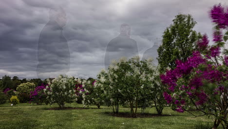 Malerische-Landschaft-Mit-Zwergartigem-Fliederbaum,-Der-An-Einem-Bewölkten-Tag-In-Weißen-Und-Violetten-Blüten-Blüht