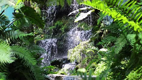 la exuberante vegetación que rodea una cascada en cascada