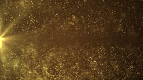 golden summer concept the motion of bokeh sunlight natural shadow overlay background logo titles in
