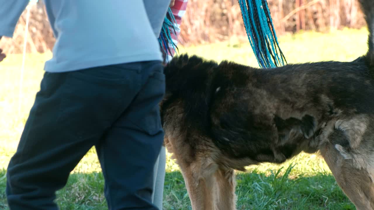 밖에서 개와 함께 있는 인식할 수 없는 여자와 소년.