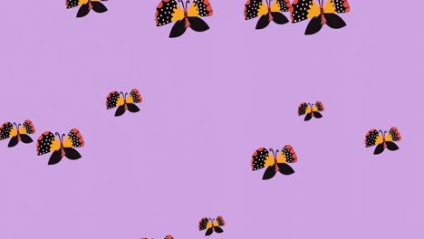 Animation-of-yellow,-red-and-black-butterflies-floating-over-lilac-background