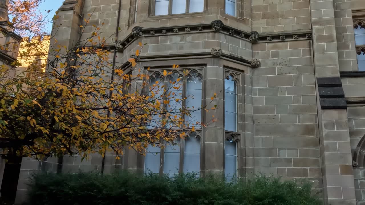 Close-up of a stone building facade with large windows and autumn foliage in the foreground.