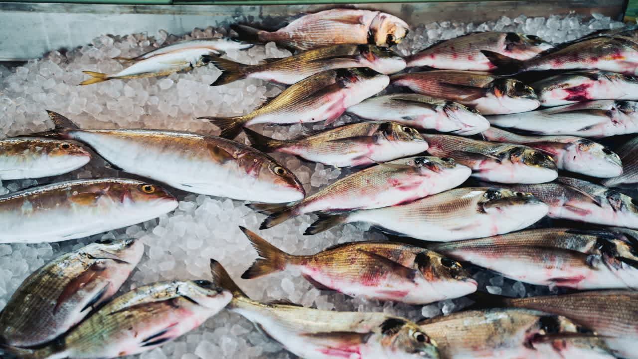 Close up shot of fresh whole fish being neatly arranged on a bed of crushed ice at a seafood market, highlighting their shiny scales and premium quality