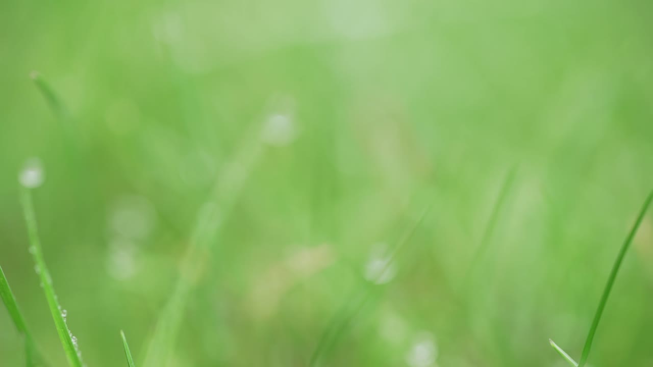 enfoque lento en diferentes gotas de agua en material de archivo macro