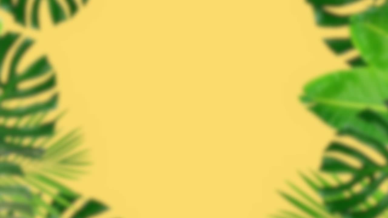 selva naturaleza fondo borroso verde flores bosque selva tropical desenfoque bokeh 4k fondos youtube