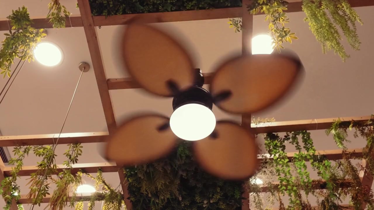 Ventilador de Teto Girando em um Interior Moderno com Plantas Suspensas