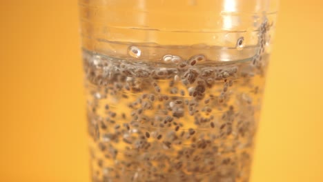 chia seeds in water