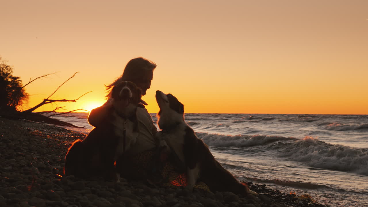 paseo de otoño en el parque con dos mascotas mujer paseando a sus perros