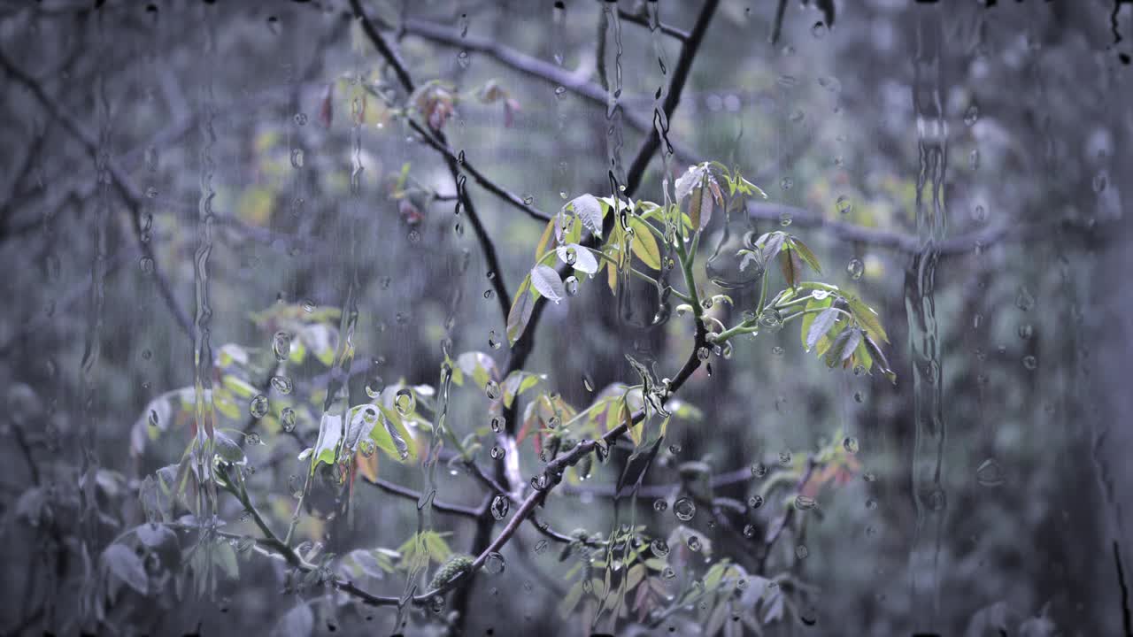 lluvia fuerte lluvia torrencial lluvia de nubes.