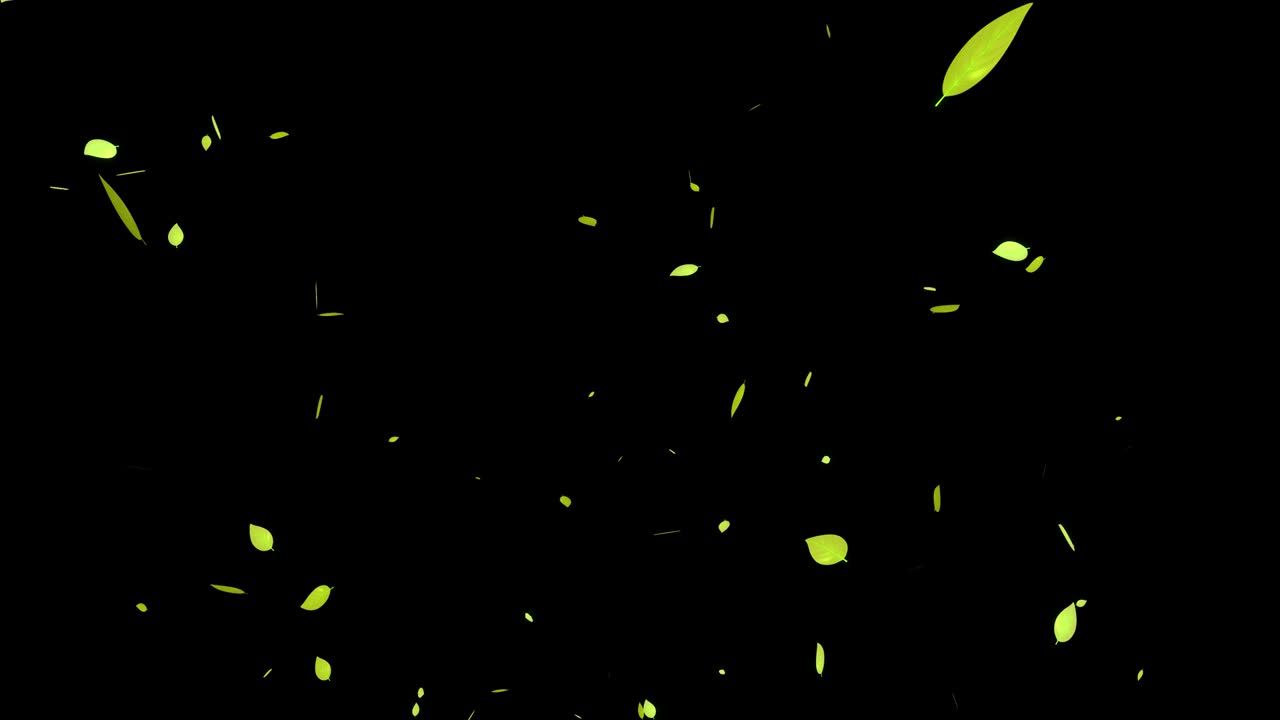 노란색 죽은 잎, 가을의 잎, 추석, 떠오르는 입자, 모션 그래픽