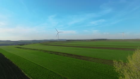 Lush-green-fields-under-a-bright-blue-sky-with-sparse-trees-in-the-foreground,-aerial-view