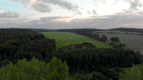 Drohnen-Luftnahflug-über-Baumwipfeln-Mit-Weitem-Blick-über-Felder