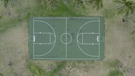 tropical basketball court of hawaii surrounded by palm trees