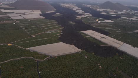 campos de plantaciones de plátanos invadidos por lava después de la erupción del volcán cumbre vieja en la palma, islas canarias