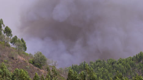 primer plano de un incendio forestal con gran desarrollo de humo en algarve portugal y una pesadilla para los bombeiros