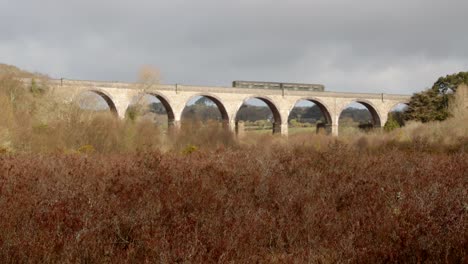 tomada media del tren que cruza el viaducto de carnon con el prado en primer plano