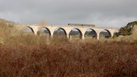 mid shot of train crossing the carnon viaduct with meadow in foreground